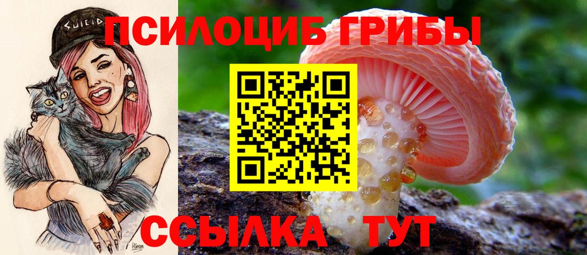 купить закладку  Галлюциногенные грибы мухоморы  Вход с VPN  Воткинск 